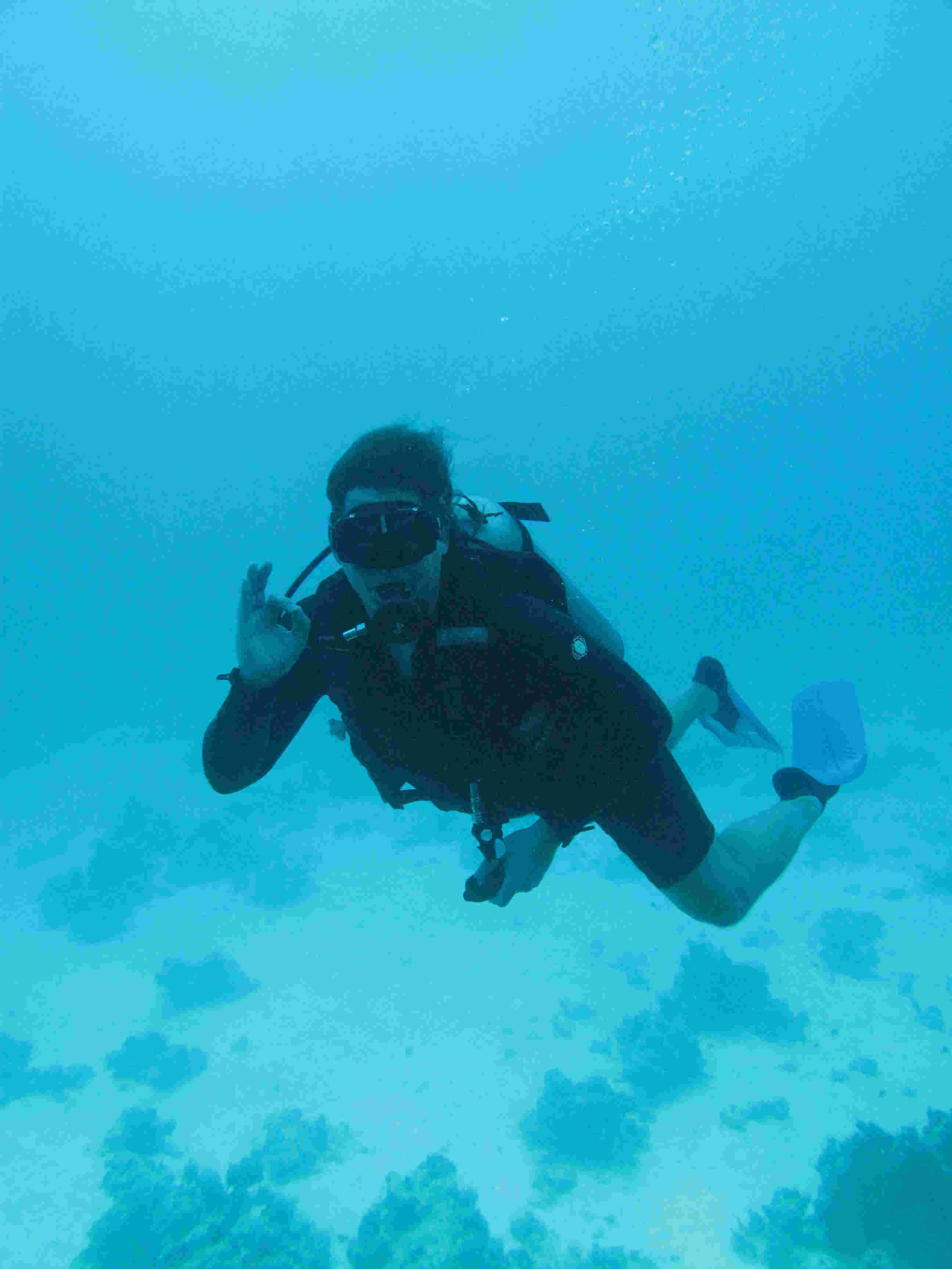 dive_pic1